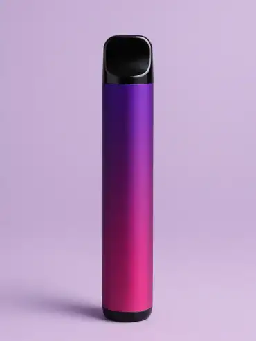 Vapes jetables ou appareils rechargeables : lequel convient le mieux à votre routine ?