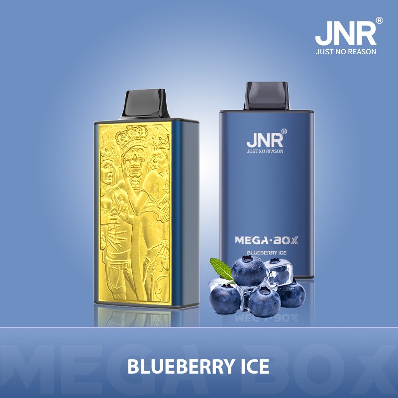 JNR Mega Box 25000 Puffs Unique 3D Texture Surface #1 France Disposable Vape 7 JNR Mega Box FIZZY 25000 Puffs 3D Disposable Vape BLUEBERRY-ICE