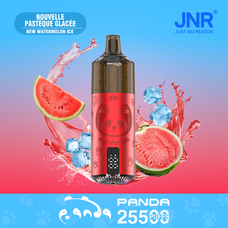 JNR Panda 25.5K 25500 Puffs Dynamic LED Screen RGB Light 2X10ml Refillable E-liquid Disposable Vape Kit 4 JNR Panda 25000 Puffs LED Screen Refillable Disposable Vape Kit New-Watermelon-Ice